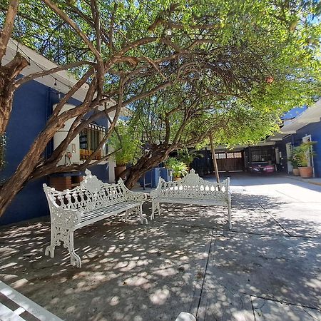 Casa Refugio Budget House 8 Rooms & 9 Bathrooms オアハカ州 エクステリア 写真