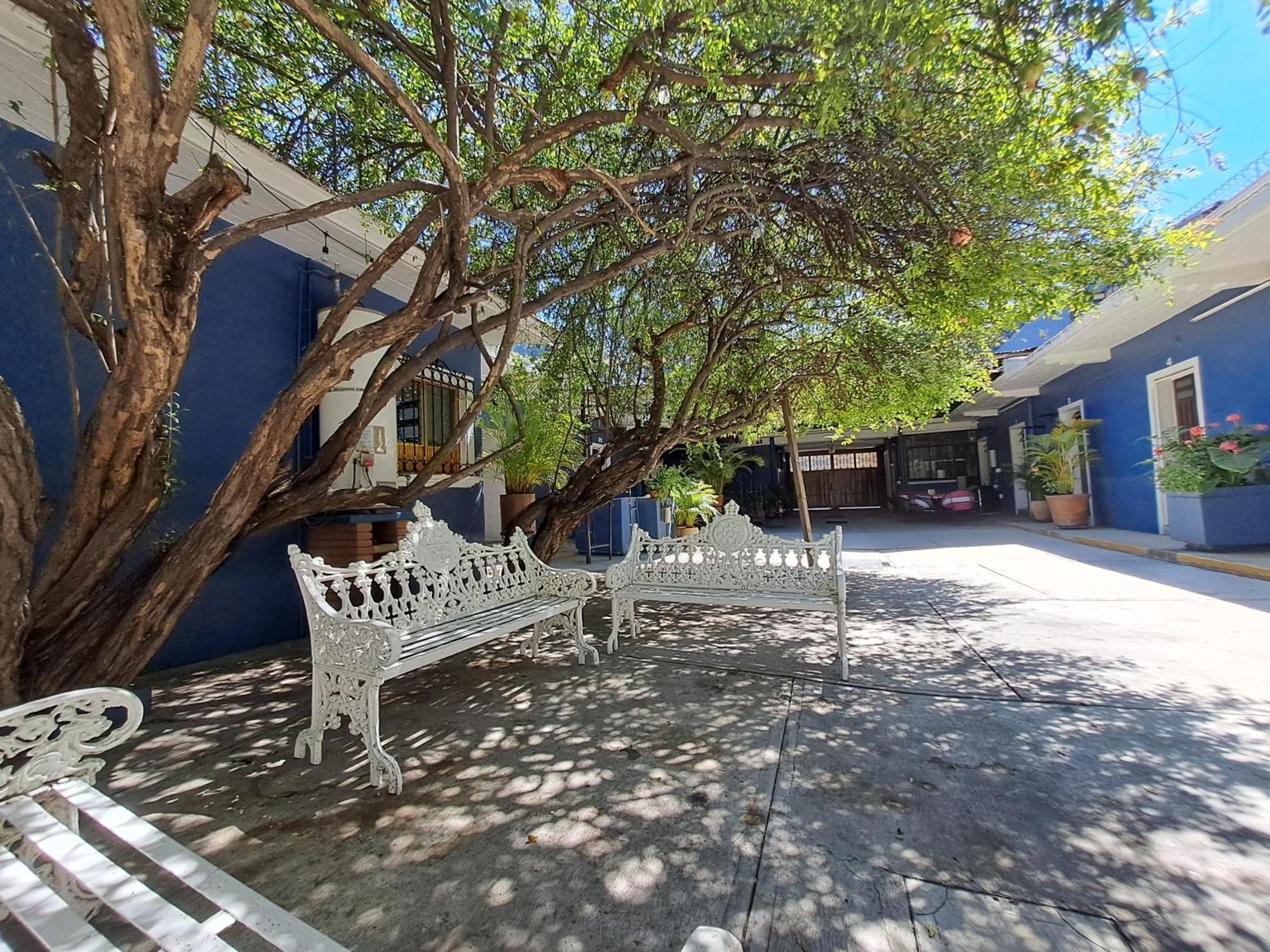 Casa Refugio Budget House 8 Rooms & 9 Bathrooms オアハカ州 エクステリア 写真